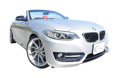 BMW-220i Silver