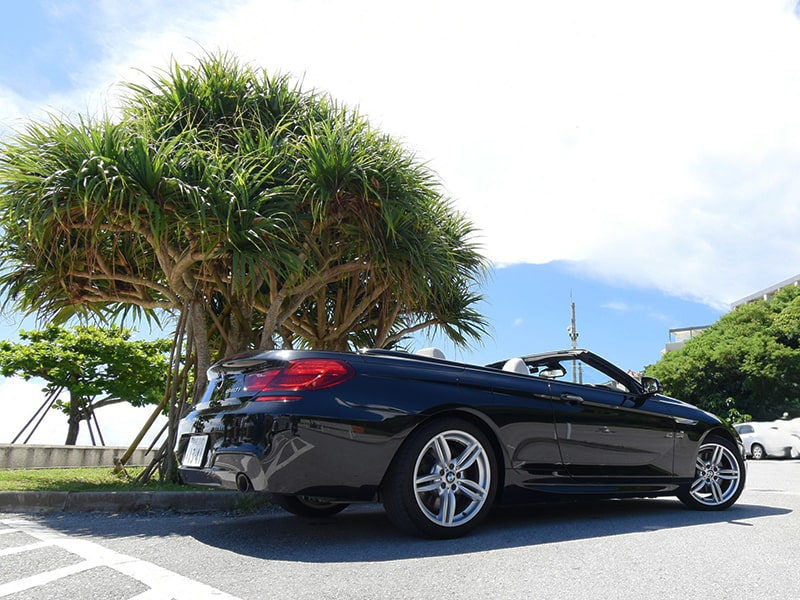 写真9