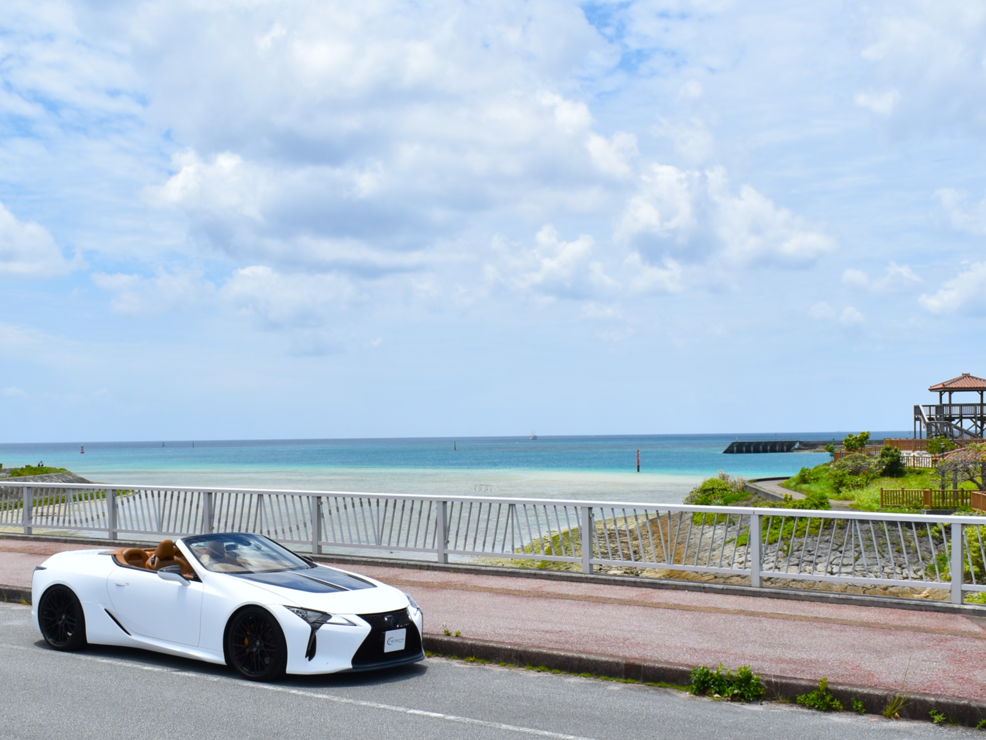 写真8